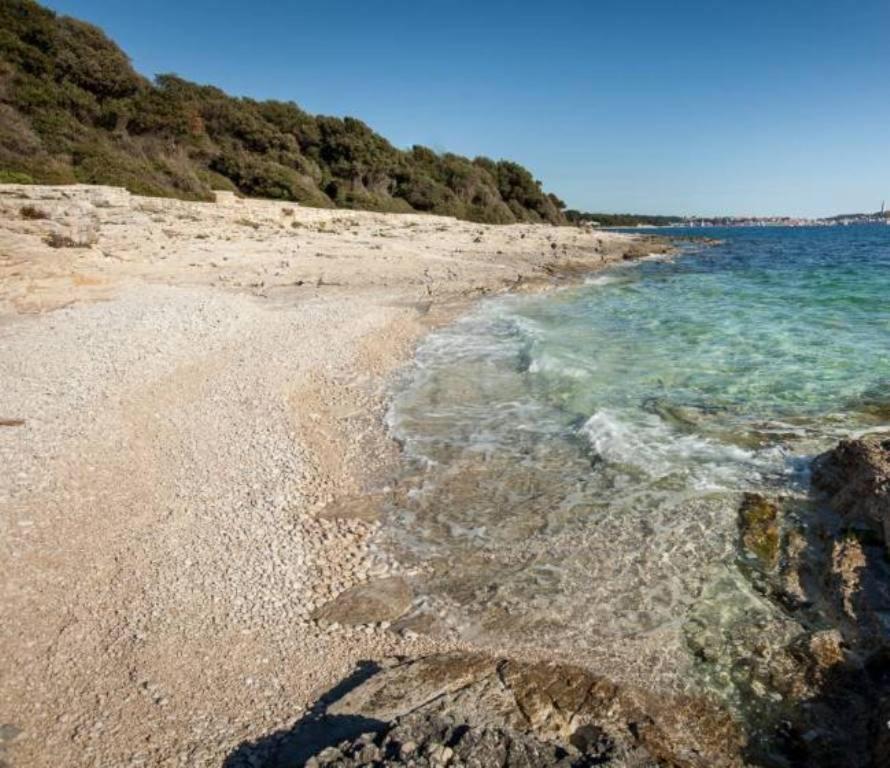 Apartments Residence L'Ulivo Rovinj Dış mekan fotoğraf